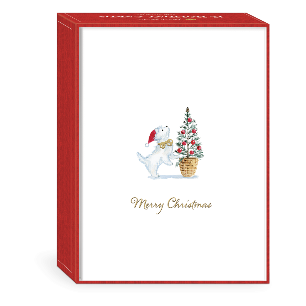 Boxed Holiday Cards 2024 Pdf - Olly Timmie